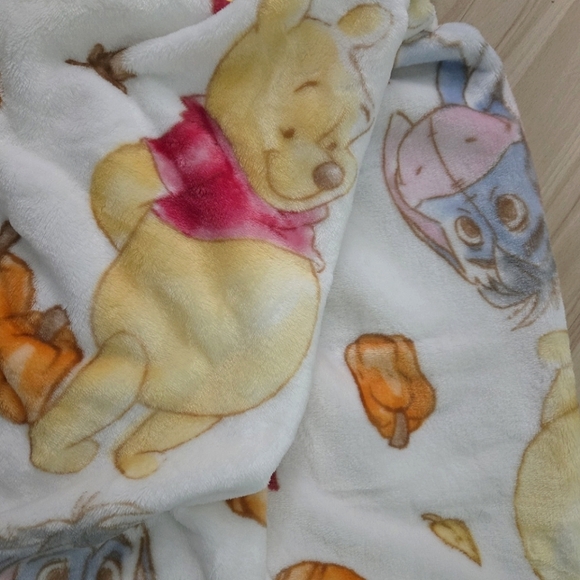 SOLD‼️Disney Winnie The Pooh Plush Fall Leaves Throw Blanket - Picture 7 of 9